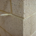 Joint tinting 3.jpg